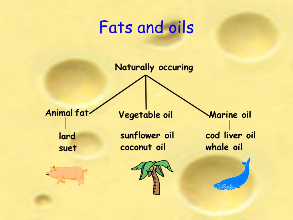 Fats and oils Naturally occuring Animal fat Vegetable oil Marine oil lard suet sunflower